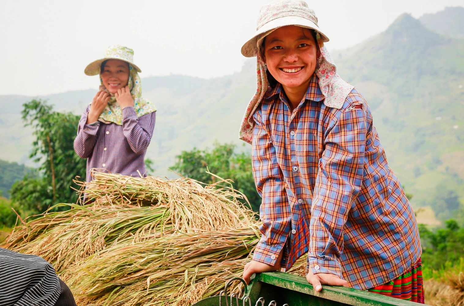 two women working in field